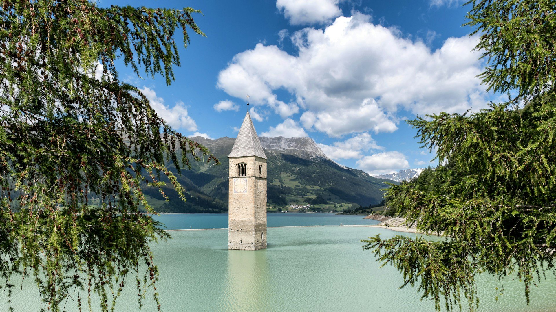 wolfgang-weiser-iMVSBlVn3To-unsplash (1).jpg