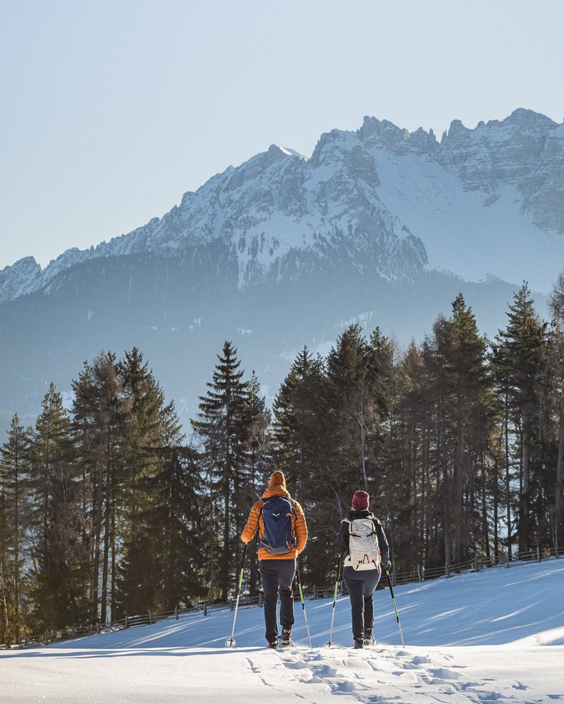 Mondschein - Durch das Wunder Winter wandern