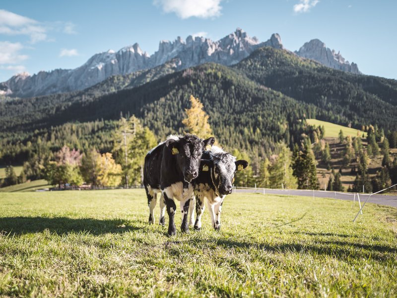🏍️⛰️ Genießer-Start in den Dolomiten – Deine Auszeit im Mondschein