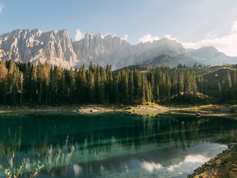 jonas-denil-sMybgVgCes8-unsplash-(1).jpg
